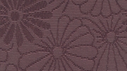 地紋織 紋菊